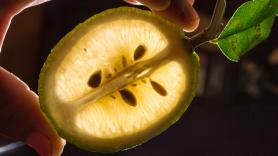 El análisis amargo de la prensa internacional sobre la situación de los limones españoles