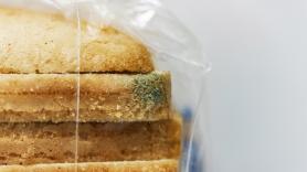 Un experto responde si es posible comer el resto de rebanadas de pan de una bolsa si una tiene moho