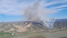 Logran estabilizar uno de los dos incendios forestales que asolan Zaragoza