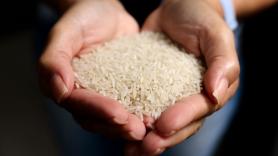 Los inspectores detienen 25.000 kilos de arroz por su aspecto y olor y se topan con un descubrimiento espantoso