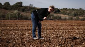 Una mancha enciende las alarmas con el fruto seco deseado en España