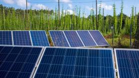 Endesa vende el 49,99% de su negocio solar en España por 817 millones de euros