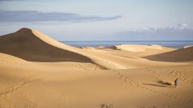 Por qué Maspalomas se llama Maspalomas: no tiene nada que ver con este animal