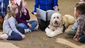 Luz verde al primer experimento español con un perro en el aula: "Ayuda a alumnas con problemas de conducta"