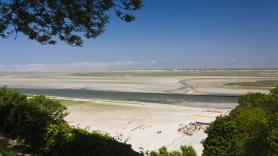 Perplejidad con el hallazgo de un monstruo de río caníbal de 1,80 en una playa: "Es muy raro ver uno junto al mar"