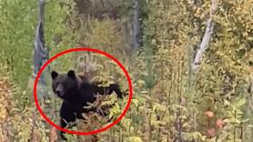 Se encuentra cara a cara con un oso en el bosque y grita una frase legendaria entre cazadores