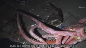 Se adentran en un acuario abandonado por el impacto de una ola gigante y lo que encuentran es digno de peli de terror