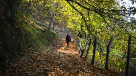 El bosque de Málaga con un gran encanto natural en otoño