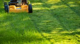 El truco de un horticultor para que el césped de tu jardín crezca más espeso en octubre