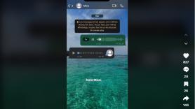 Manda un audio de WhatsApp a una desconocida por error y la respuesta que recibe es espectacular