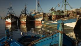 Tumban los acuerdos comerciales de agricultura y pesca entre la UE y Marruecos