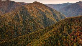 El espectacular bosque asturiano considerado Reserva de la Biosfera que en otoño se tiñe de magia