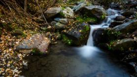 El llamado 'bosque encantado' de Granada con robles, cerezos, sauces y tejos para vivir el otoño más auténtico