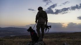 Avisan a un soldado en plena guerra de que su perro ha muerto y 6 años después descubre y abraza la verdad