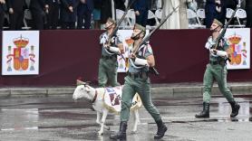 Las tiernas imágenes del borreguillo Quillo desfilando con La Legión que te alegrarán el día