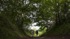 Camina por el bosque y tropieza con una piedra que le pone en bandeja un increíble descubrimiento con un animal del siglo XIX