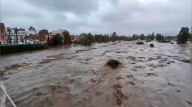 La OCU manda un aviso a los afectados por la DANA: así puedes reclamar los daños