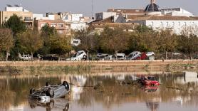 Italia se rinde en masa a la valentía de la mujer que se niega a condenar a muerte a sus perros y gatos en la DANA de Valencia