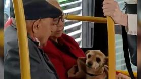 Graban el amor con el que dos ancianos tratan a su perro en pleno transporte público