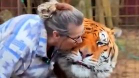 La sincera amistad de más de 20 años entre un tigre y su cuidadora