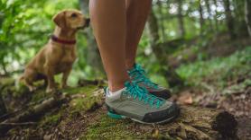 Sale a correr con su perro y se pierde un mes por el bosque: sobrevive gracias a una seta gigante y guaridas de osos