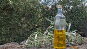 El mejor aceite de oliva español se desplaza a una zona inédita