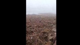 Roberto Brasero alucina con lo que está devolviendo el mar a Valencia con la sacudida de la DANA