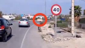 Enseña lo que ha visto por una carretera dirección Elche: cuesta creer que eso pase en España