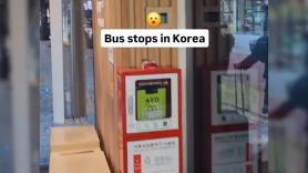 Esta parada de autobús en Corea te hará pensar que viven en el futuro