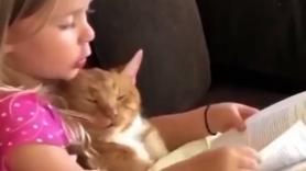 La carita del gato mientras la niña le cuenta el cuento es la dosis de monería que necesitabas hoy