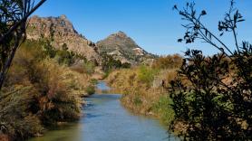 Murcia da luz verde a su primera playa fluvial sin posibilidad de baño