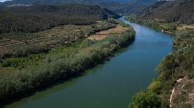 Se va al Ebro a pescar y tropieza con un coloso acuático de casi 3 metros: "Parecía salido de otro planeta"