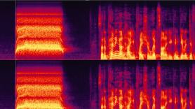 Ni un grito ni de origen humano: escucha el sonido más aterrador del mundo