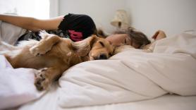 Las dos advertencias a tener en cuenta si duermes en la cama con tu mascota