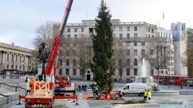 La plaza más conocida de Europa presenta su árbol de Navidad y desata las burlas de todos por su aspecto