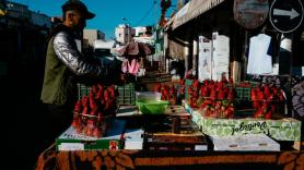 España levanta la barrera a la fruta de Marruecos