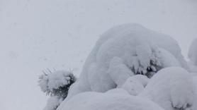 La masa polar se hace fuerte y la AEMET avisa: lo que llega de aquí al fin de semana que viene es peor