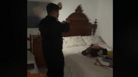 Se encuentra una araña en la cama y acaban justificando su reacción al aparecer en pantalla