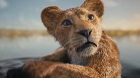 30 años después de 'El rey León', Disney cuenta la historia Mufasa