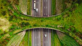 El país más cívico de Europa ordena aumentar el límite de velocidad en sus carreteras