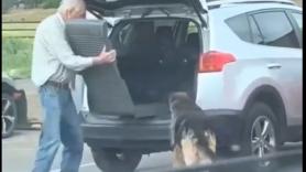 Las tiernas imágenes de un señor mayor ayudando a su perro anciano para que pueda subir al coche