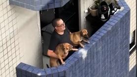 Graban el gesto de un hombre con sus perros: "Que la vida te trate como tratas a tus animales"