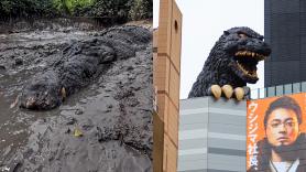 Un hombre graba un cocodrilo gigante y la respuesta de todo el mundo es la misma: "Godzilla"