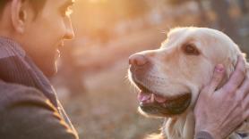 La clave para que tu perro te obedezca está en cómo lo miras, según un estudio