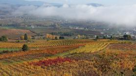 En el extranjero destacan las maravillas de la región española revitalizada gracias al vino