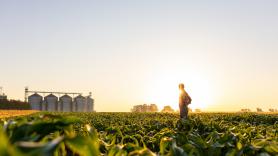 Un agricultor de pipas y garbanzos pone en alquiler sus tierras, las llena de placas solares y rompe el mercado: "Antes ganaba 100 euros y ahora 1.900"