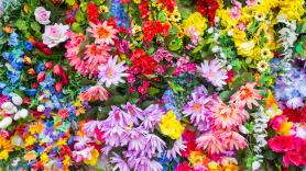 ¿Qué es el equinoccio de primavera y cuándo es en 2025?