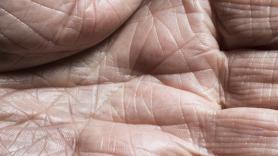 La ciencia da un paso de gigante hacia la eterna juventud al descubrir la proteína responsable del envejecimiento