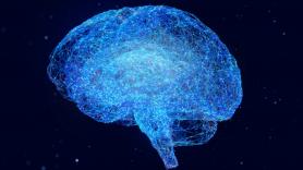 Una psicóloga habla del gran mal de nuestro tiempo: "El cerebro se congela"