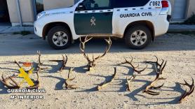 Entran a una finca a recoger cuernos a modo de trofeo, la Guardia Civil les pilla infraganti y sus ahorros se desvanecen
